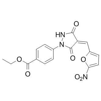 PYR41