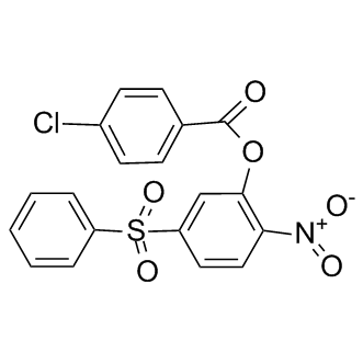 BTB06584