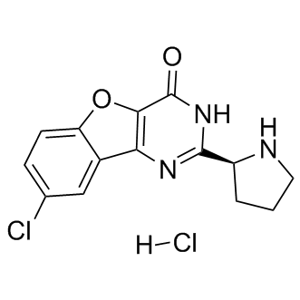 XL413 hydrochloride