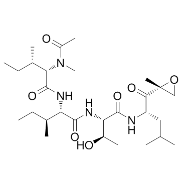 Epoxomicin (Synonyms: BU-4061T)