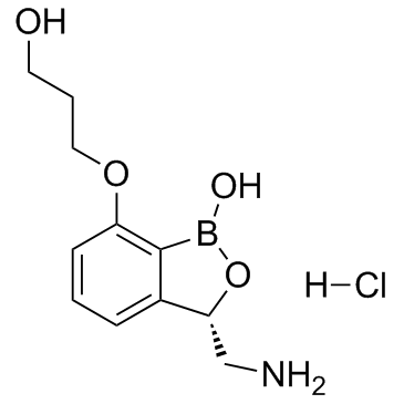 Epetraborole HCl