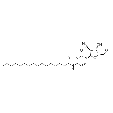 Sapacitabine