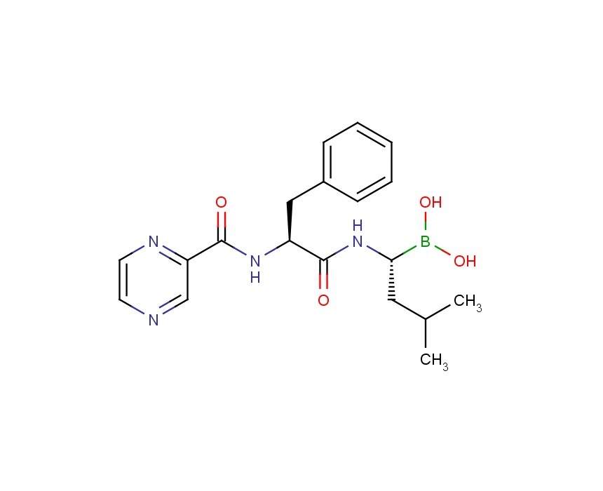 硼替佐米|Bortezomib