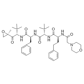Carfilzomib（PR-171) 卡非佐米