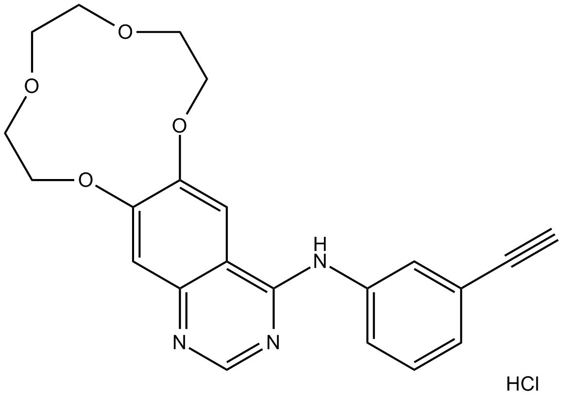 Icotinib|埃克替尼