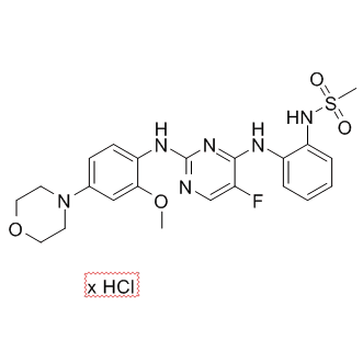 CZC-25146